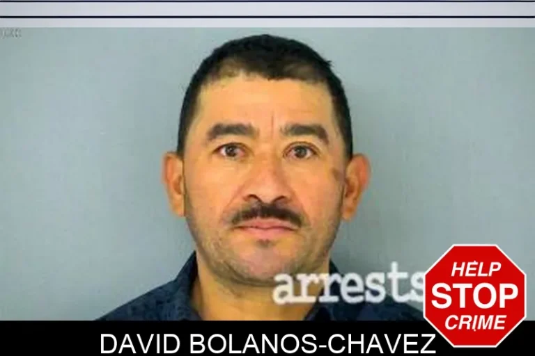 David Bolanos-Chavez