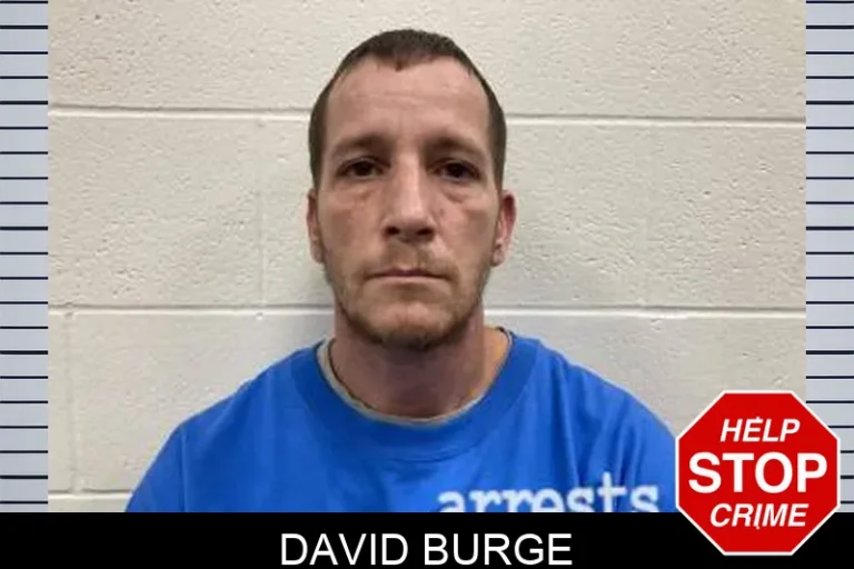 David Burge
