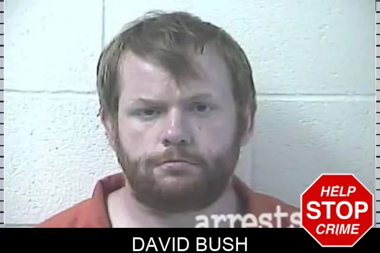 David Bush