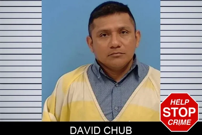 David Chub
