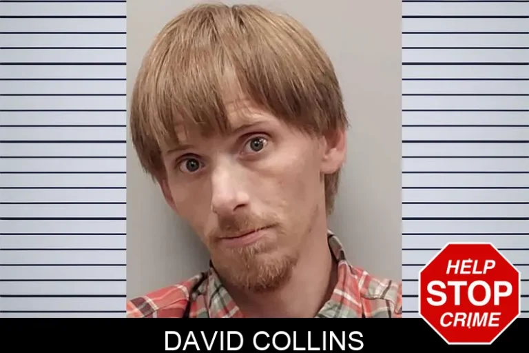 David Collins