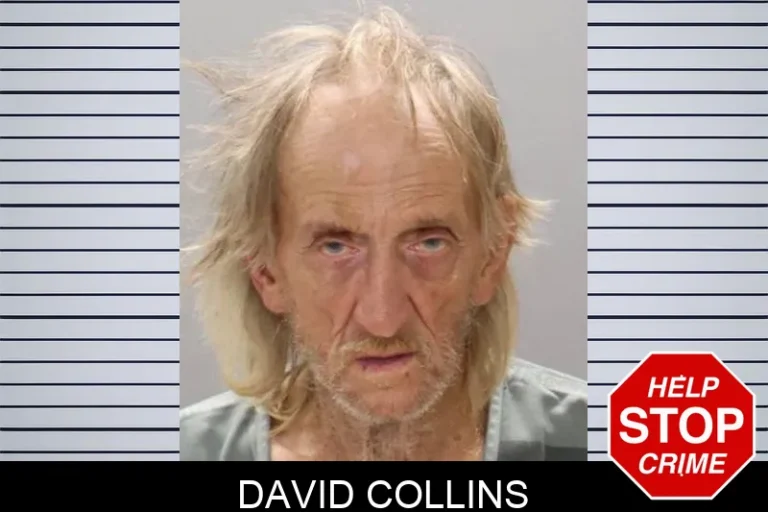 David Collins