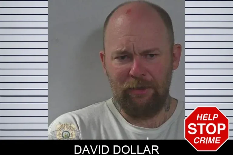 David Dollar