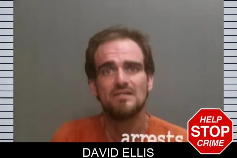 David Ellis