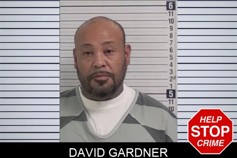 David Gardner