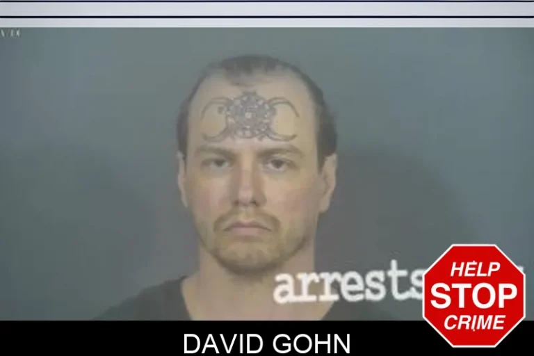 David Gohn