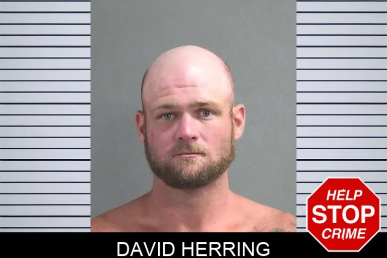 David Herring