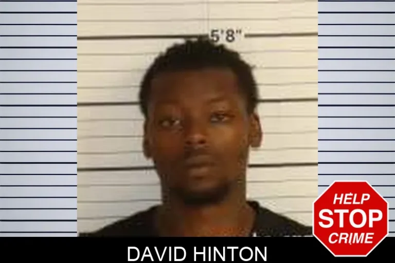 David Hinton