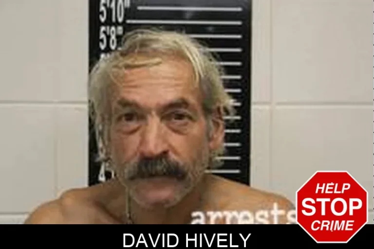 David Hively