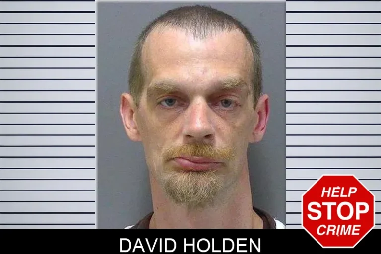David Holden