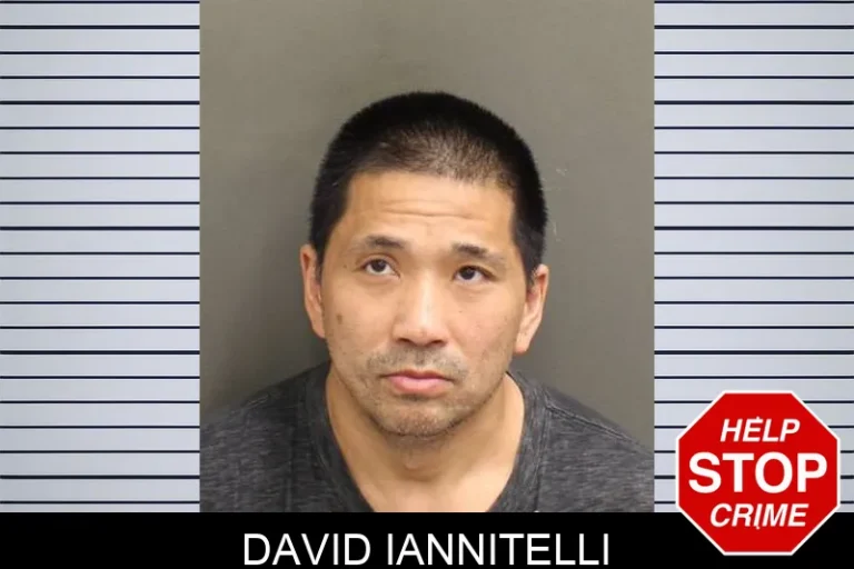 David Iannitelli