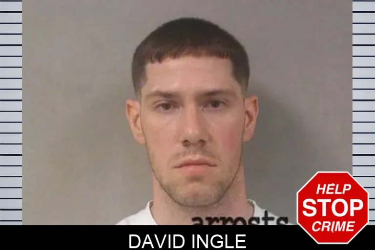 David Ingle