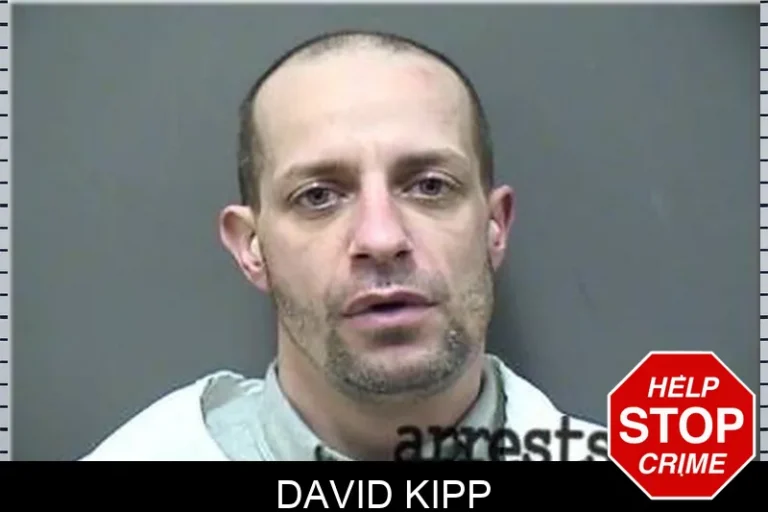 David Kipp