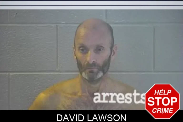 David Lawson