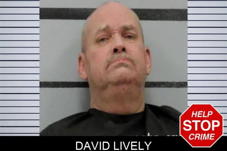 David Lively