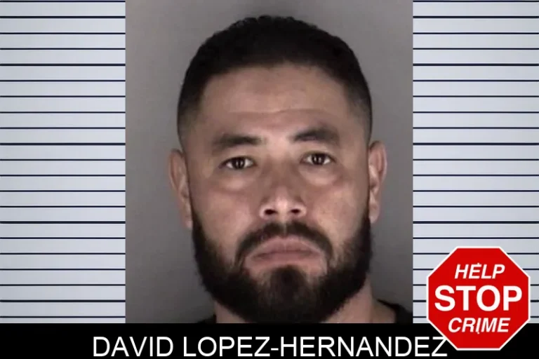 David Lopez-Hernandez