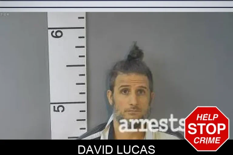 David Lucas