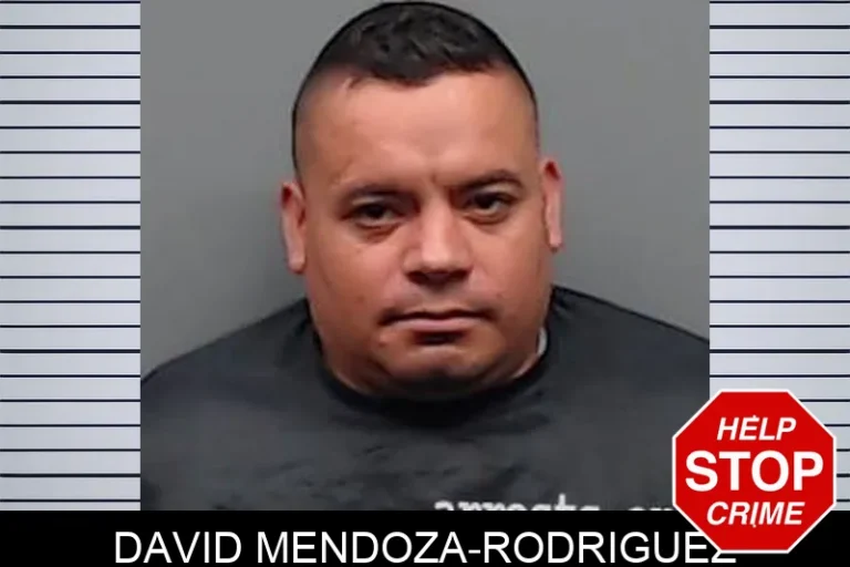 David Mendoza-Rodriguez