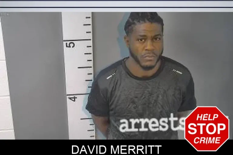 David Merritt