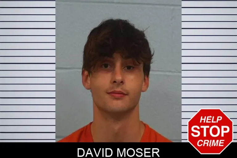David Moser