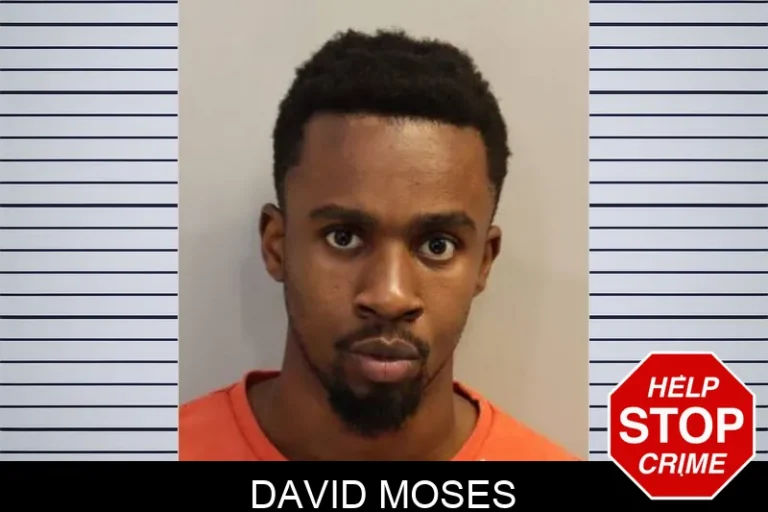 David Moses