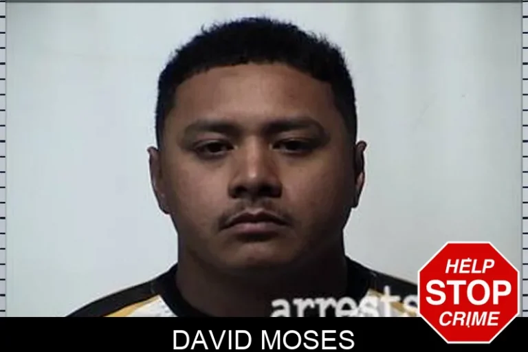 David Moses