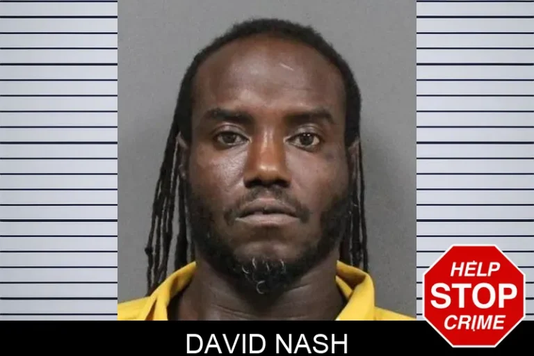 David Nash