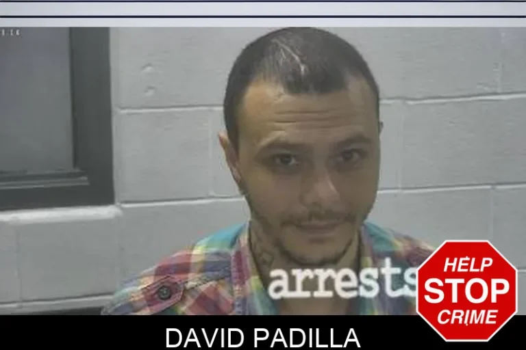 David Padilla