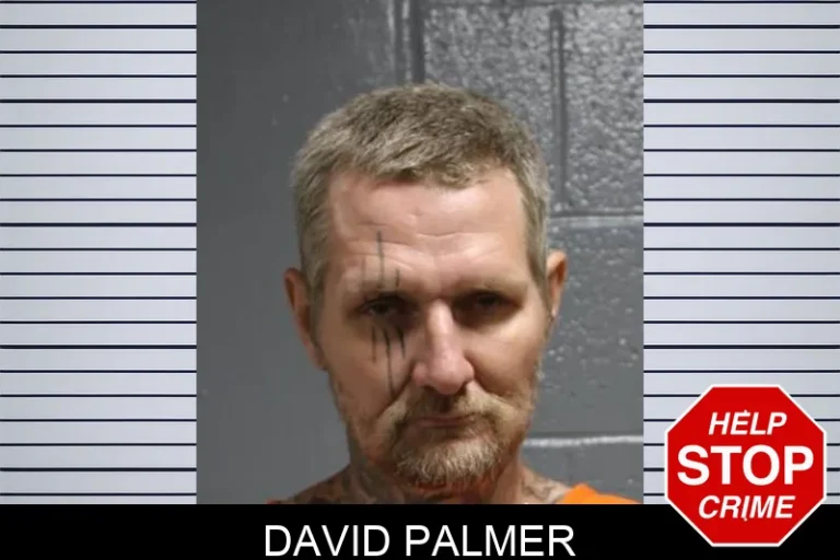 David Palmer