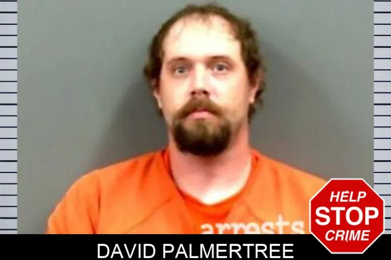 David Palmertree