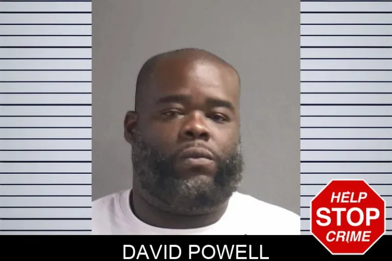 David Powell