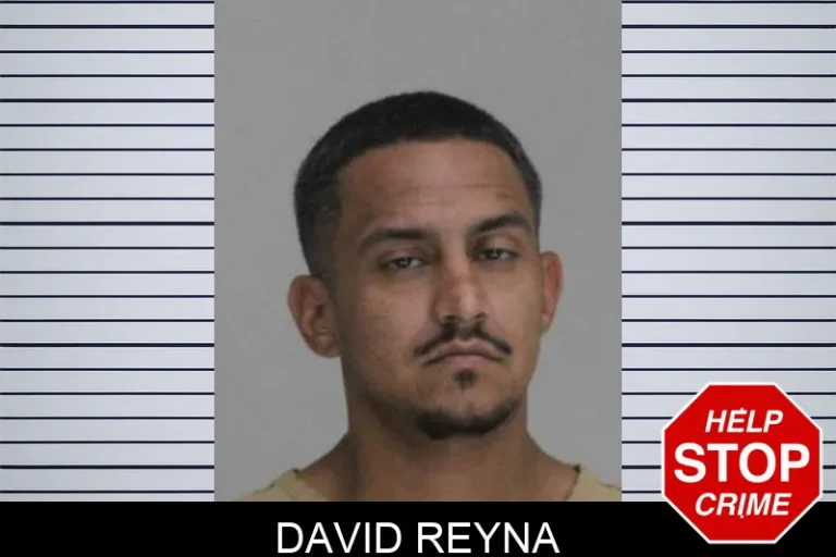 David Reyna