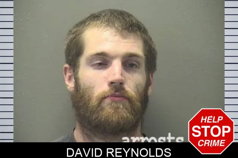 David Reynolds