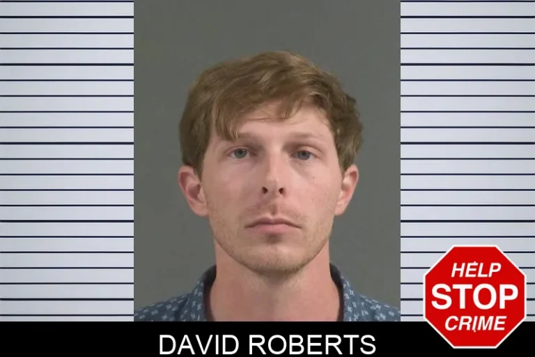 David Roberts