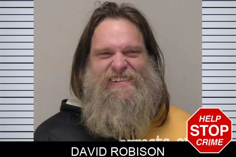 David Robison