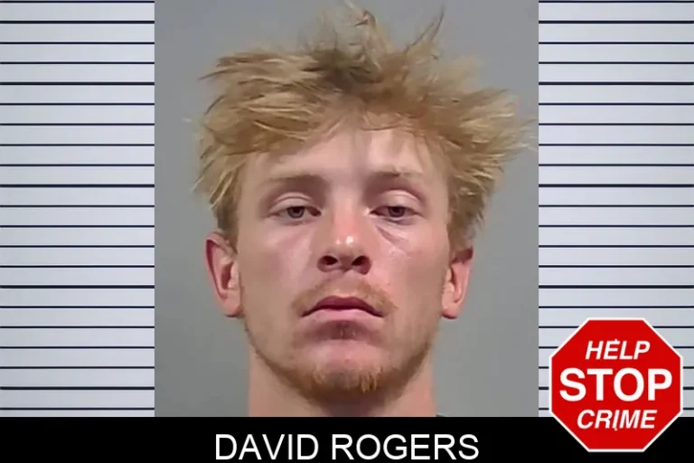 David Rogers