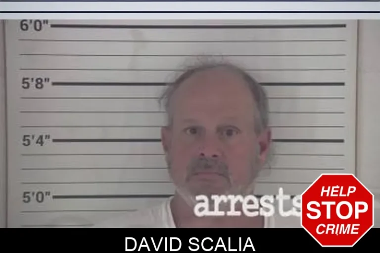 David Scalia