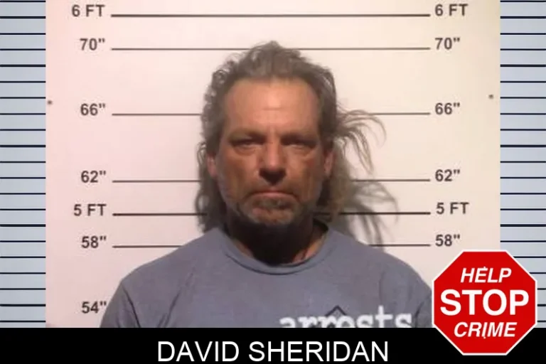 David Sheridan