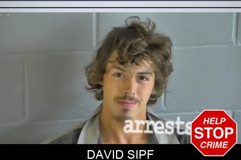 David Sipf