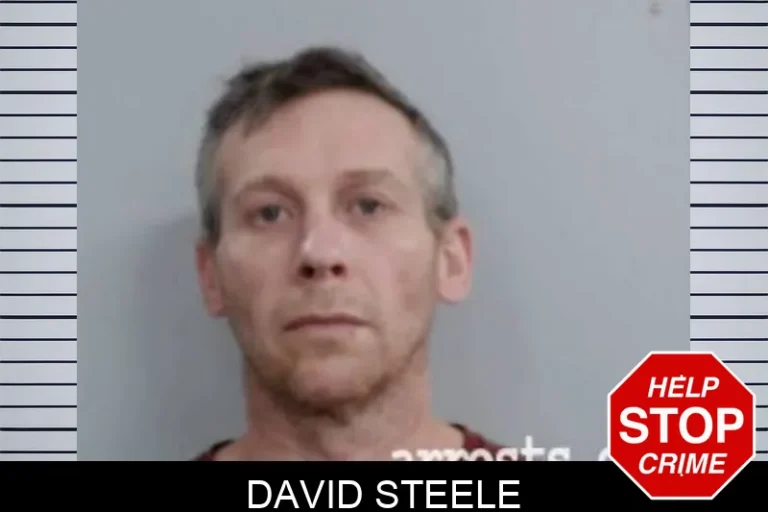 David Steele