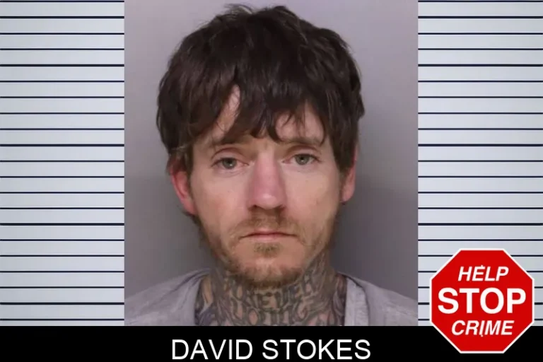 David Stokes