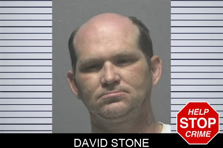 David Stone