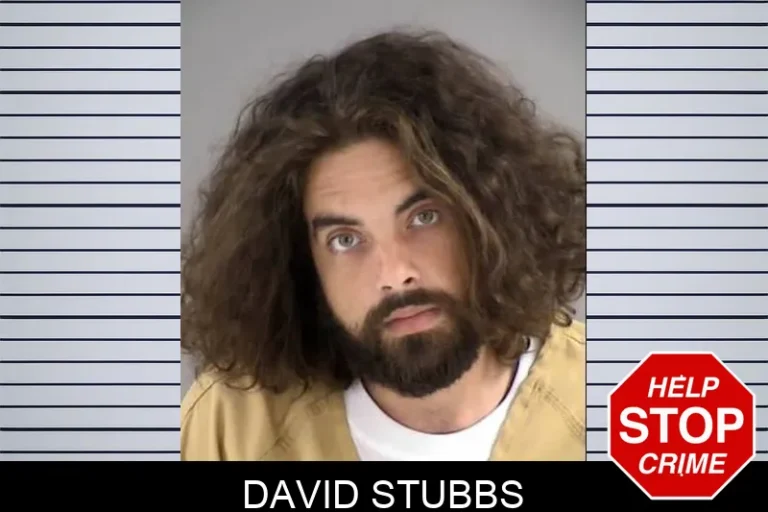 David Stubbs
