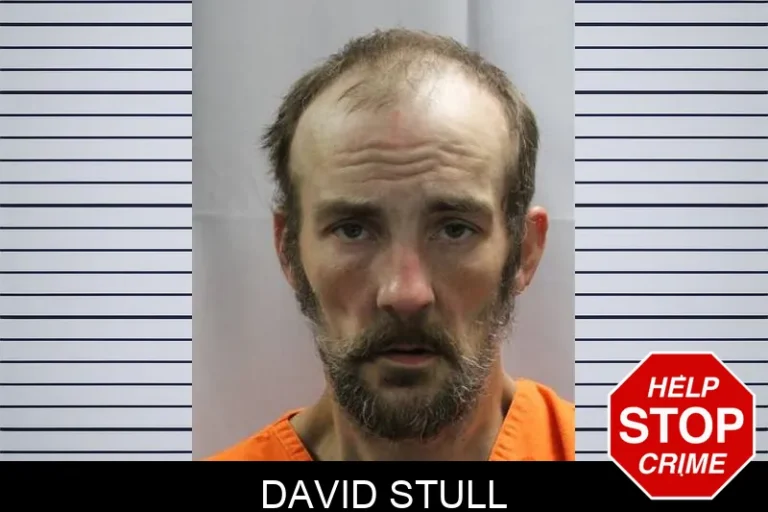 David Stull