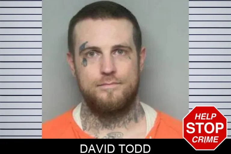 David Todd