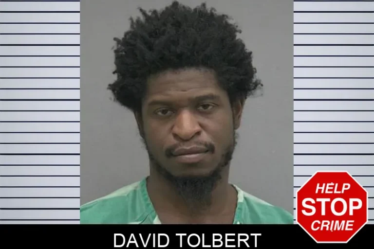 David Tolbert