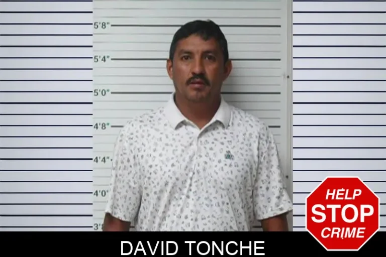 David Tonche