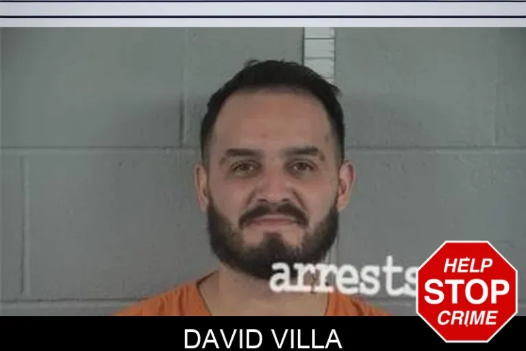 David Villa