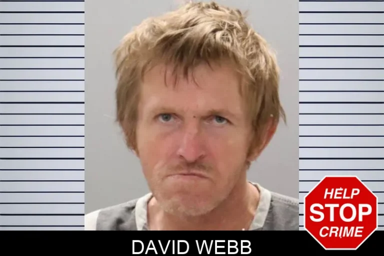 David Webb