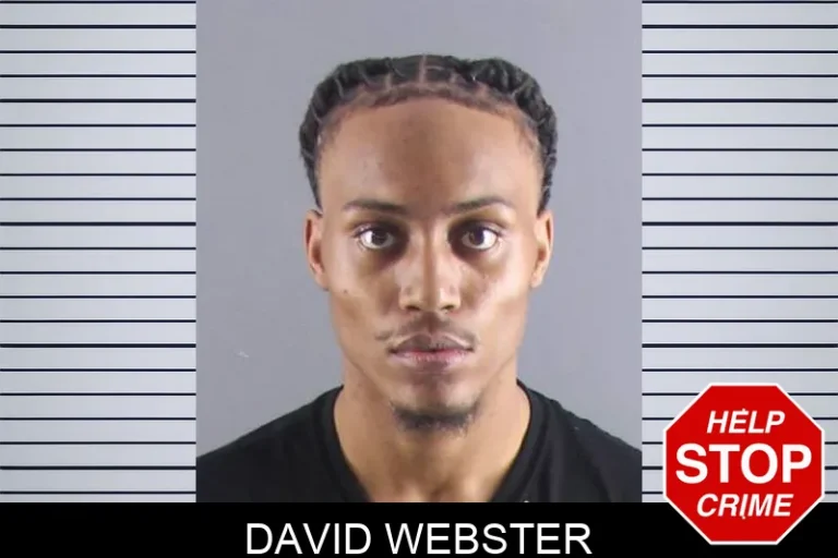David Webster